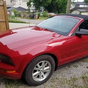 Meet your Posher, Cyndi